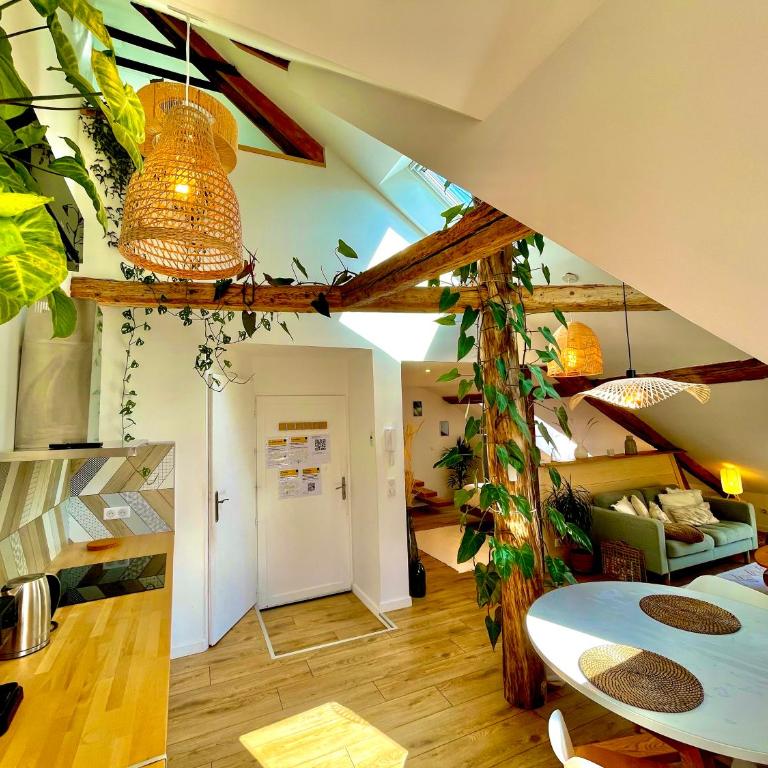 Nid douillet sous les toits avec jacuzzi - Appartement 1 Chambre - 22
