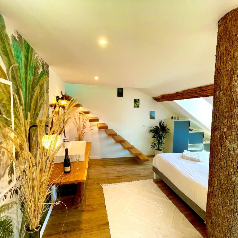Nid douillet sous les toits avec jacuzzi - Appartement 1 Chambre - 23