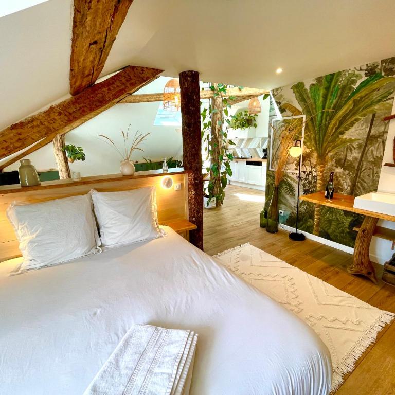 Nid douillet sous les toits avec jacuzzi - Appartement 1 Chambre - 25