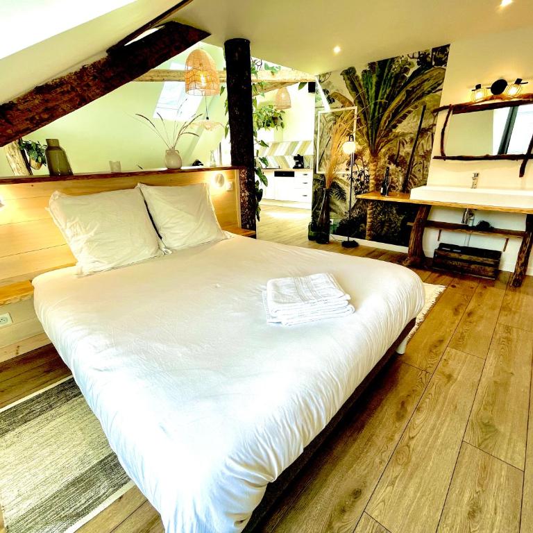 Nid douillet sous les toits avec jacuzzi - Appartement 1 Chambre - 27