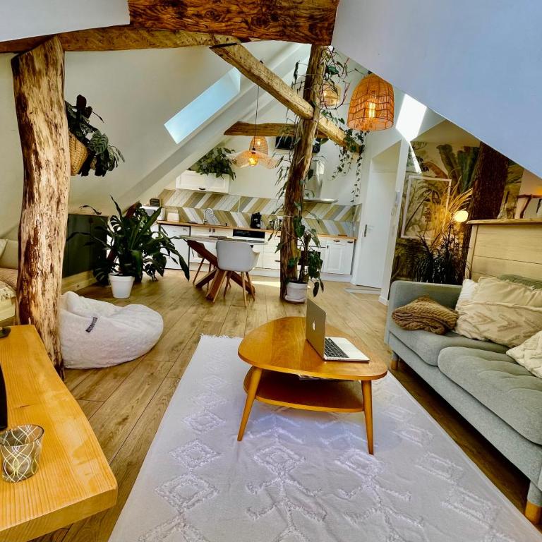 Nid douillet sous les toits avec jacuzzi - Appartement 1 Chambre - 26