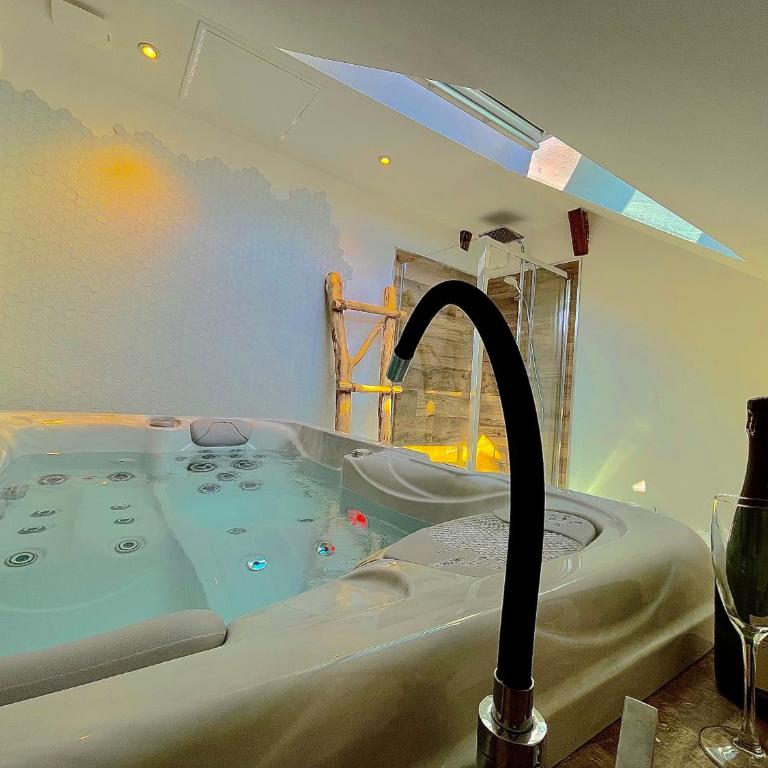 Nid douillet sous les toits avec jacuzzi - Appartement 1 Chambre - 29