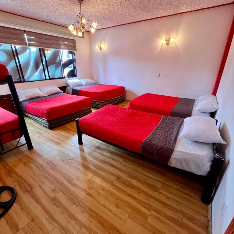 Gran México - Habitación Familiar con baño privado - 33