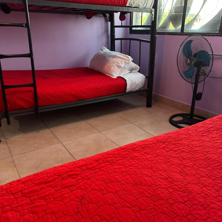 Gran México - Habitación Triple con baño privado - 42