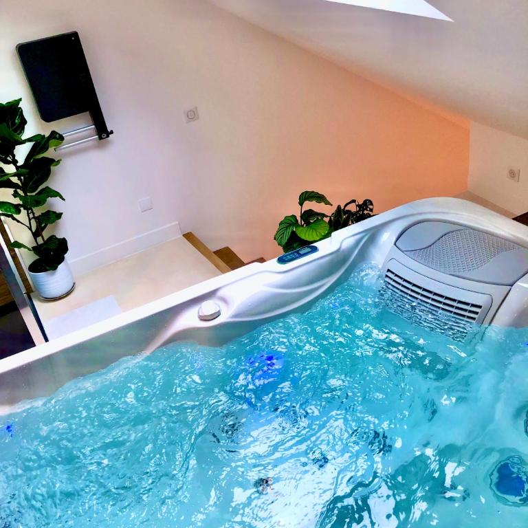 Nid douillet sous les toits avec jacuzzi - Appartement 1 Chambre - 34