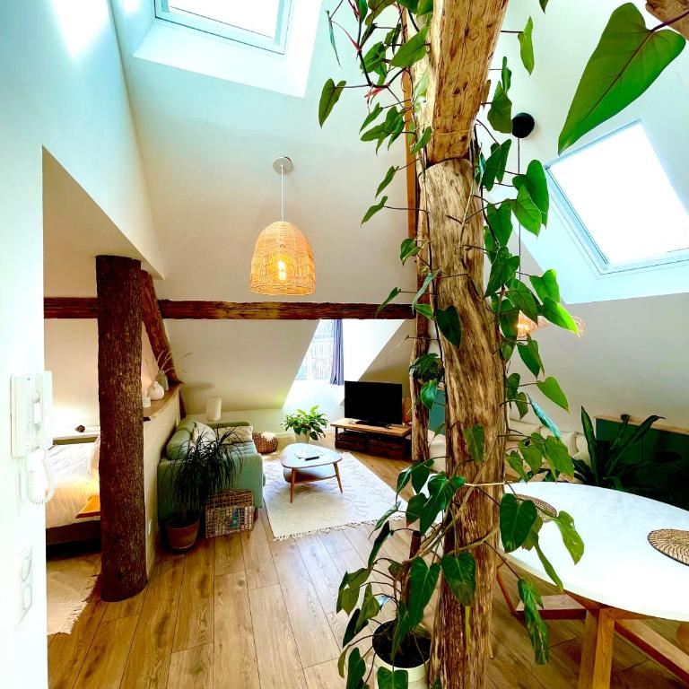 Nid douillet sous les toits avec jacuzzi - Appartement 1 Chambre - 44