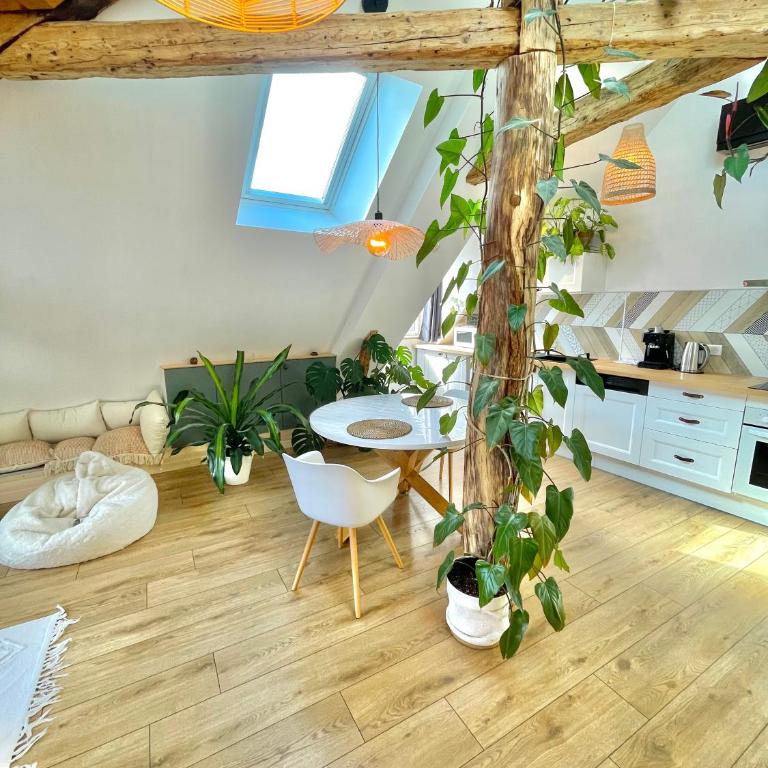 Nid douillet sous les toits avec jacuzzi - Appartement 1 Chambre - 45