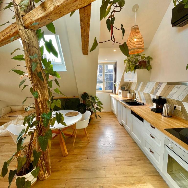 Nid douillet sous les toits avec jacuzzi - Appartement 1 Chambre - 47
