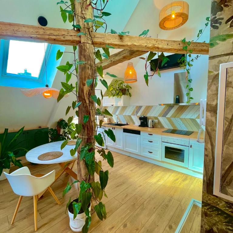 Nid douillet sous les toits avec jacuzzi - Appartement 1 Chambre - 50