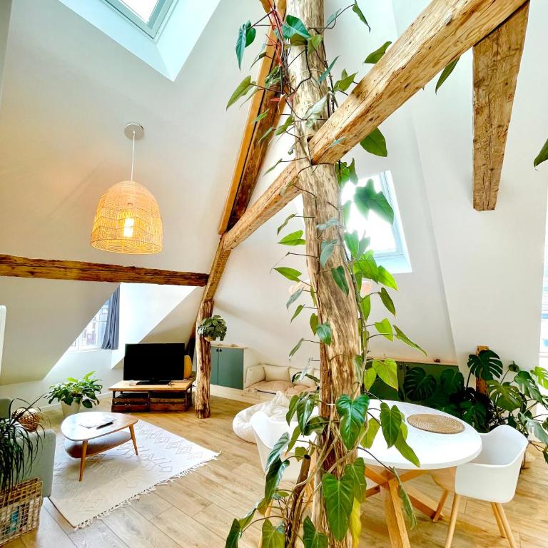 Nid douillet sous les toits avec jacuzzi - Appartement 1 Chambre - 49