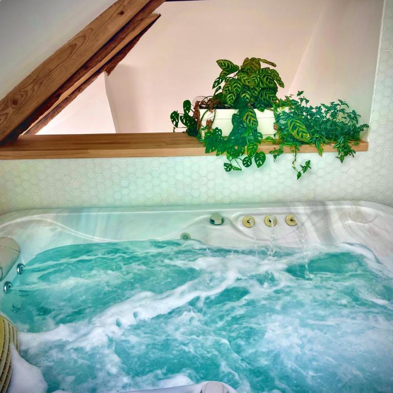Nid douillet sous les toits avec jacuzzi - Appartement 1 Chambre - 52