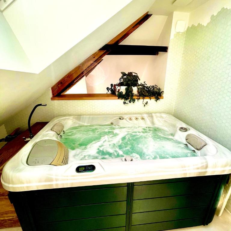 Nid douillet sous les toits avec jacuzzi - Appartement 1 Chambre - 53