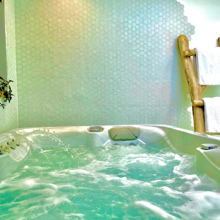 Nid douillet sous les toits avec jacuzzi - Appartement 1 Chambre - 54
