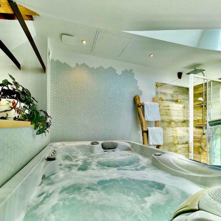 Nid douillet sous les toits avec jacuzzi - Appartement 1 Chambre - 55