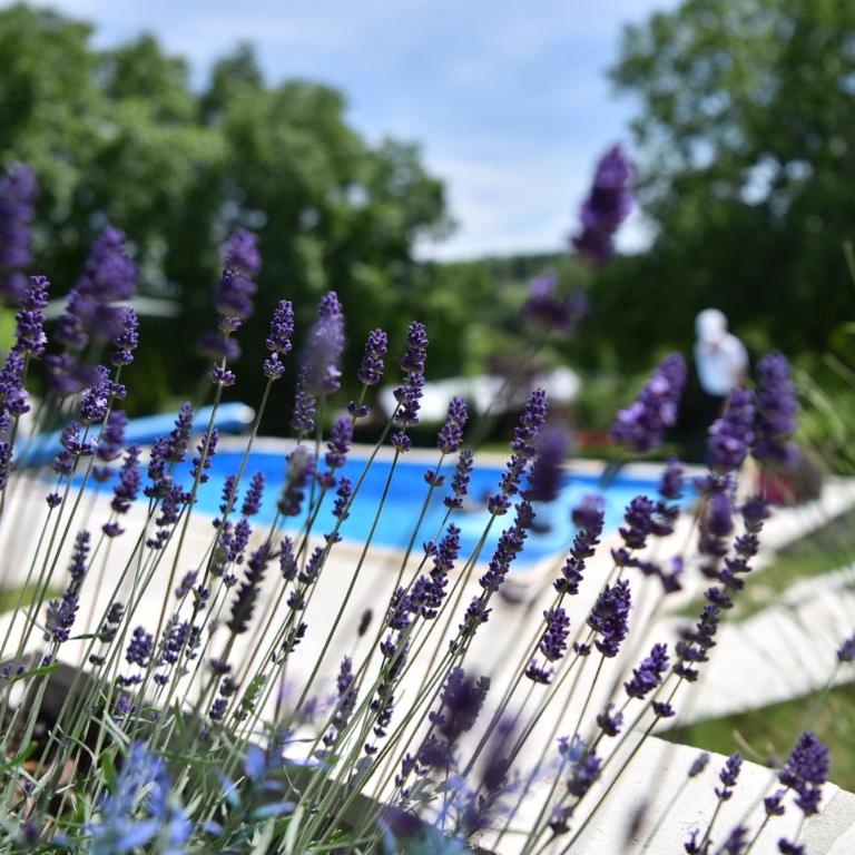Rent Your Family Retreat in Novi Sad - Vila sa Sopstvenim Bazenom - 13