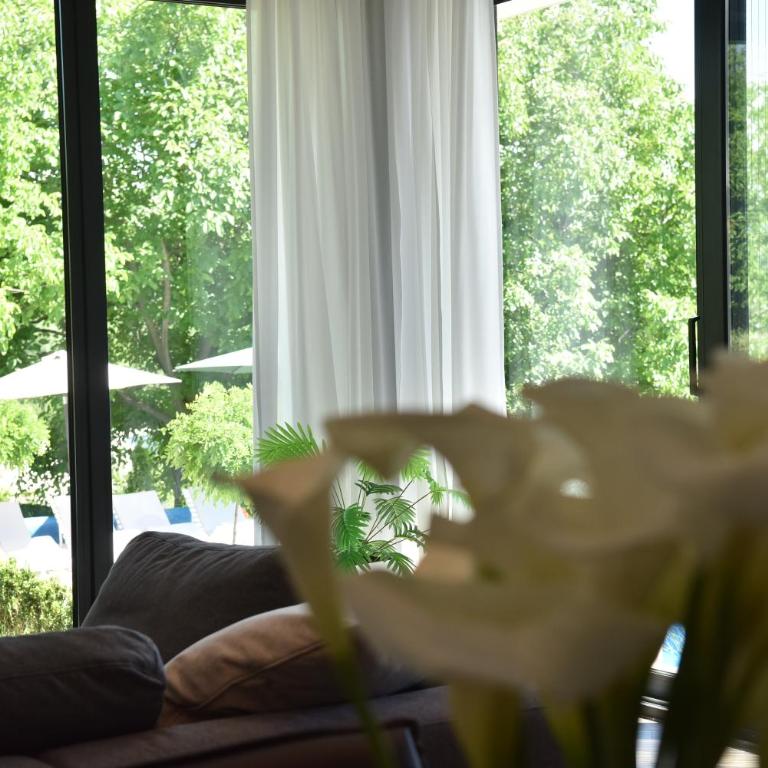 Rent Your Family Retreat in Novi Sad - Vila sa Sopstvenim Bazenom - 26
