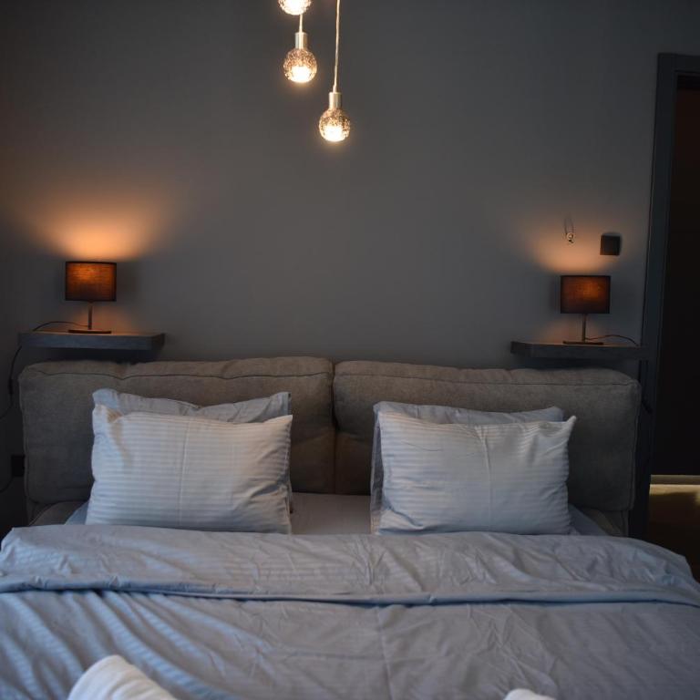 Rent Your Family Retreat in Novi Sad - Vila sa Sopstvenim Bazenom - 34