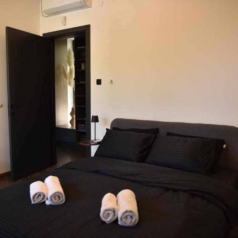 Rent Your Family Retreat in Novi Sad - Vila sa Sopstvenim Bazenom - 37