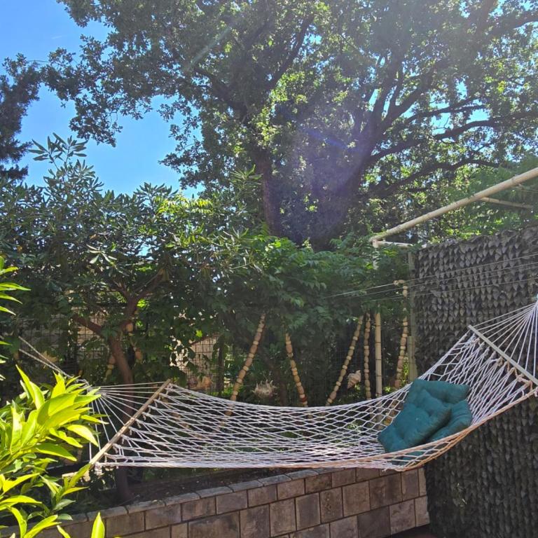 Sunny Lemon Garden - One-Bedroom Apartment - 5