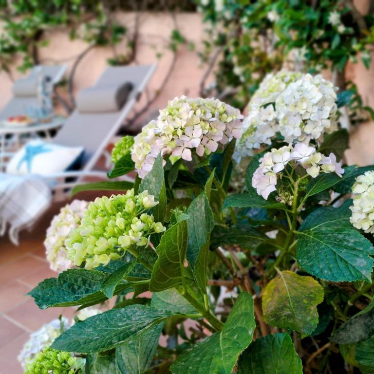 La Maisonette - Centro storico - Casa con 2 Camere da Letto - 91