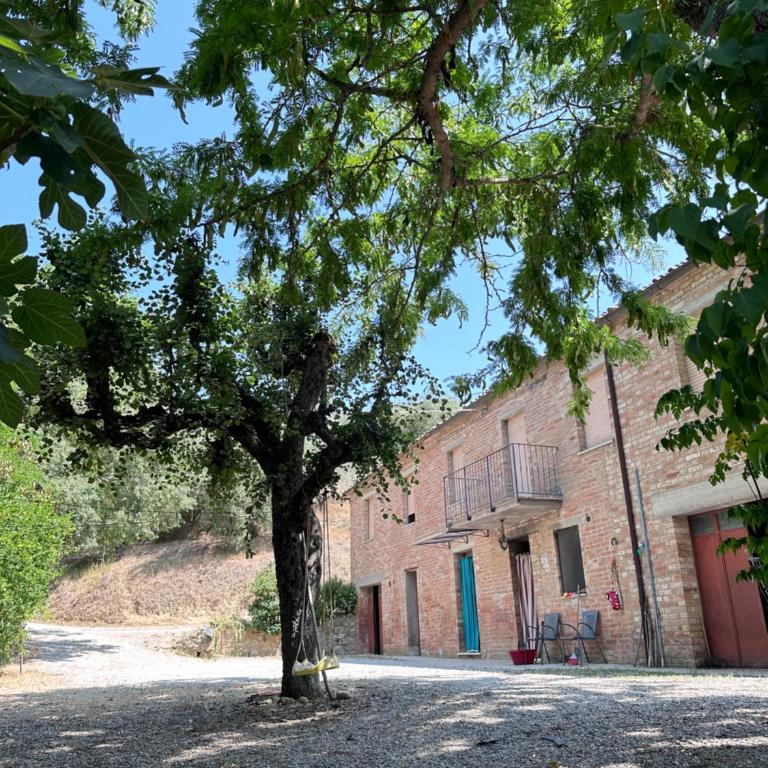 agriturismo san biagio - Camera Budget Matrimoniale/Doppia con Letti Singoli - 4