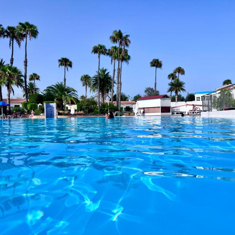 Bungalow con PISCINA - Apartamento de 1 dormitorio - 3