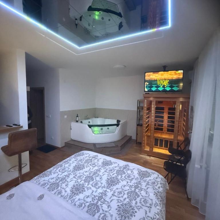 Secret Spa Nis - One-Bedroom Apartment - 10