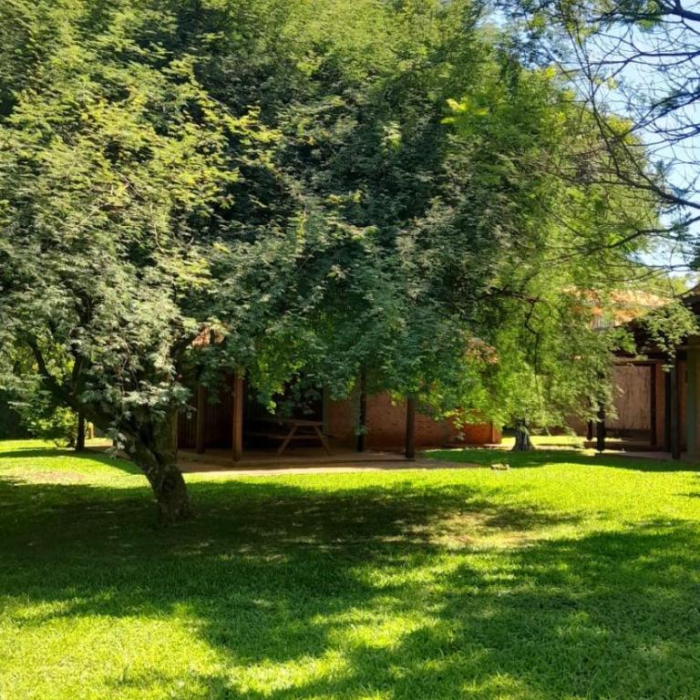 Cabañas Lodge el Suizo 2 - One-Bedroom Chalet - 49
