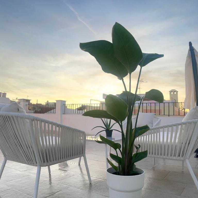 Centrico en Nerja Pradosol Apartamentos - Apartamento de 2 dormitorios - 25