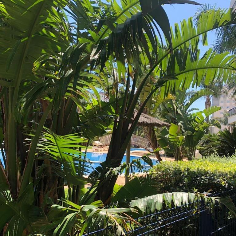 Apartamento El Eden - Apartamento de 2 dormitorios - 26