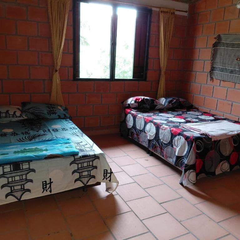 Finca La Macarena - Chalet - 10