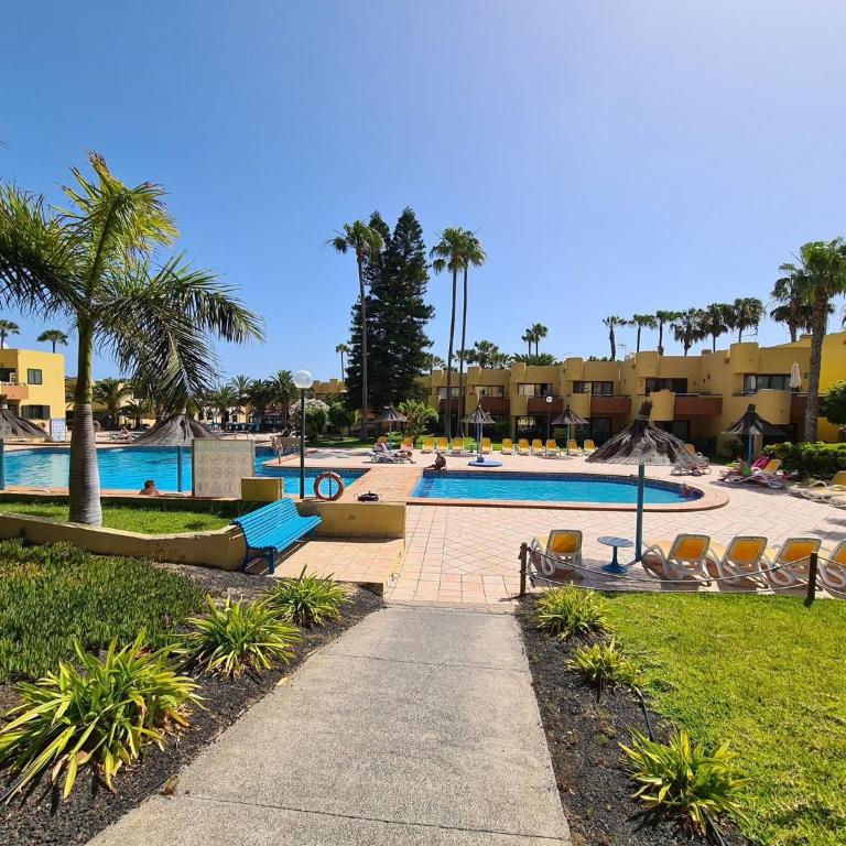 Corralejo Atlantic Garden Andrew apartments Pool air conditioning - Casa con 1 dormitorio - 20