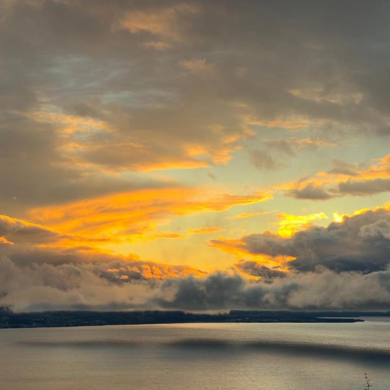Premium Villa with Jacuzzi & Panoramic Lake View Lavaux - Villa - 2