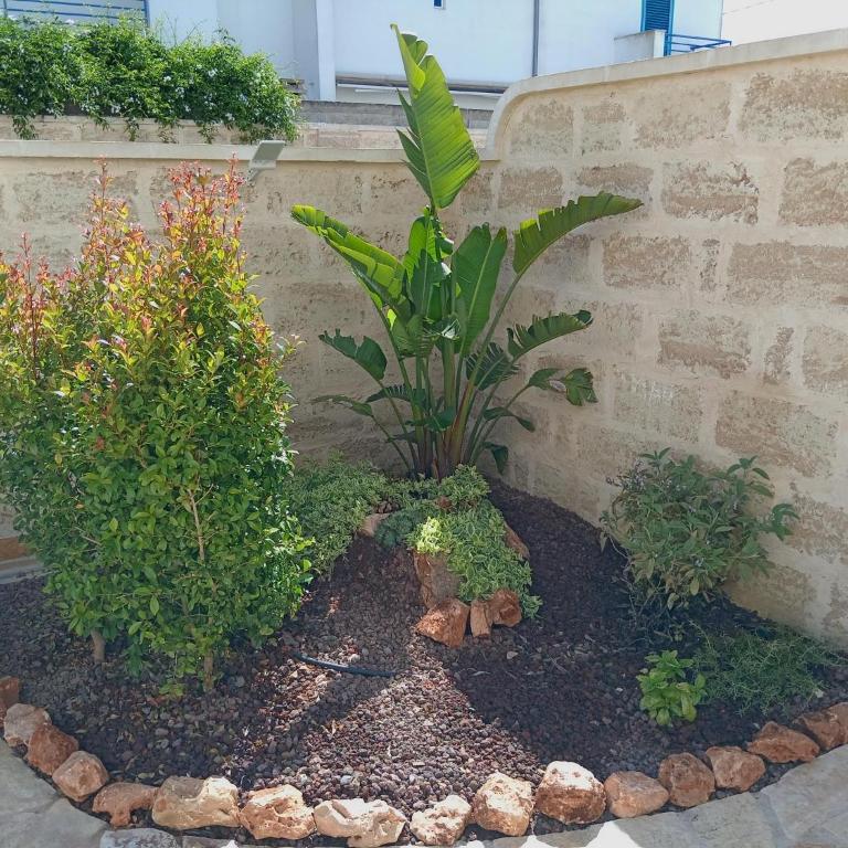 Casa Vacanze Le Dune Salento Torre Lapillo - Two-Bedroom House - 22