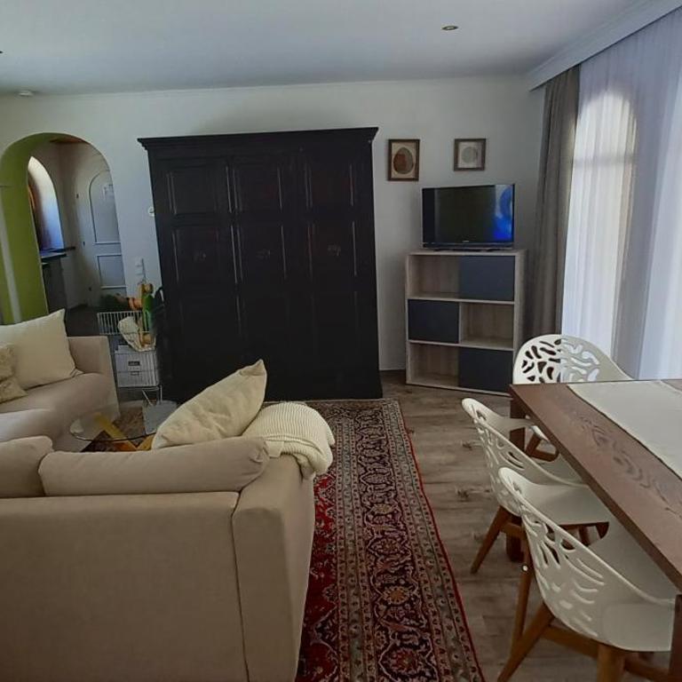 Fischerhof Appartements - Studio mit Terrasse - 2