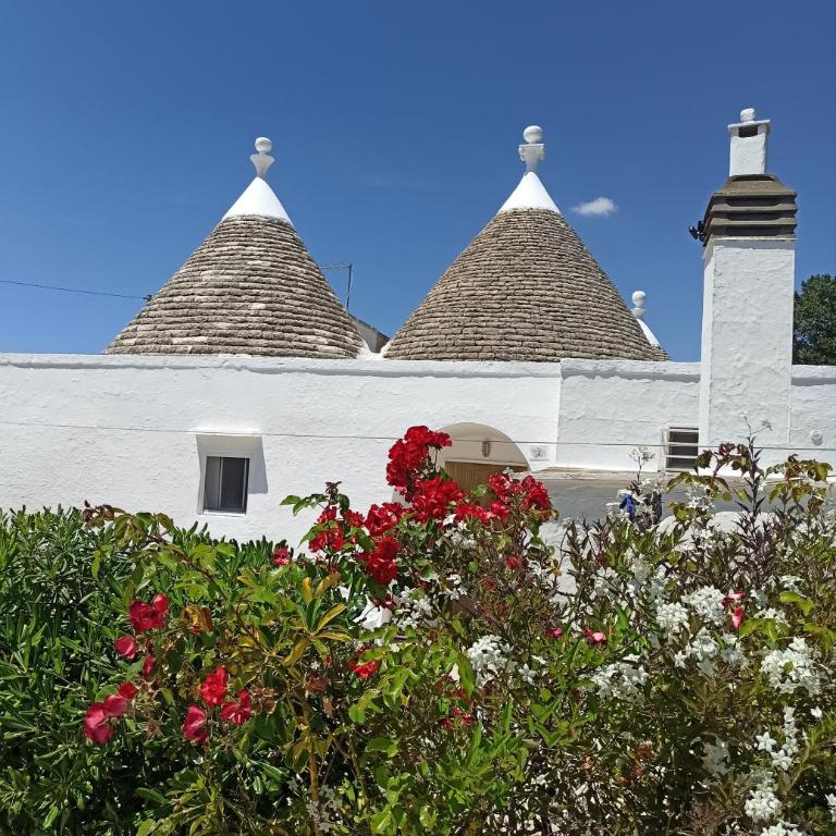 Trullo in piena valle d'itria del 1800 - Casa con 3 Camere da Letto - 40