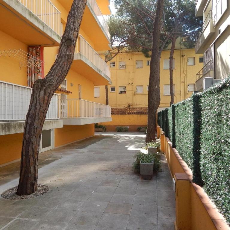 Apartamento en Platja d'Aro: A/C, Parking, a 2 Pasos de la Playa, 3 Hab, Terraza. - ES-209-12 - Apartamento - 2