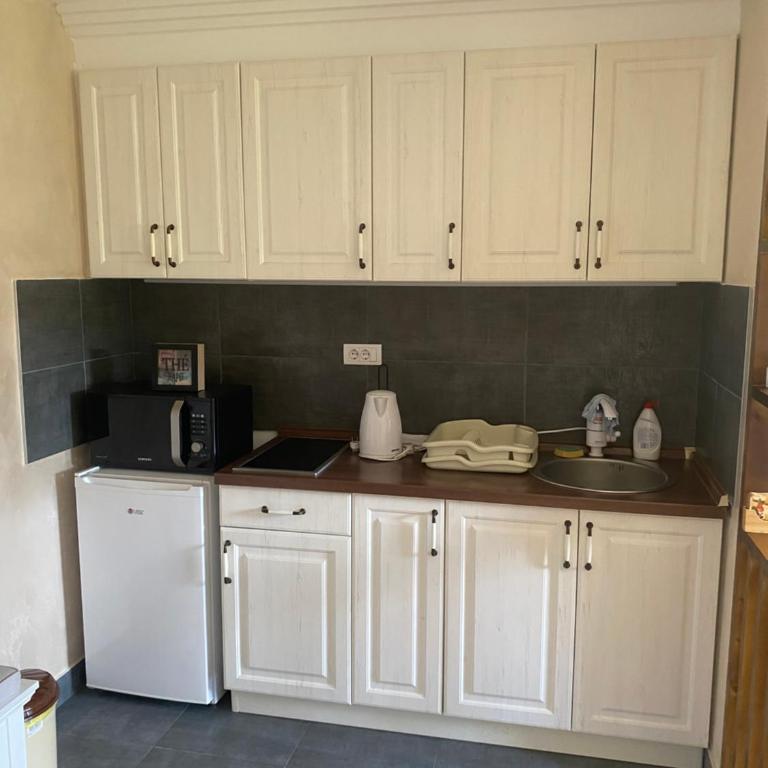 Divčigora - Apartman sa 1 Spavaćom Sobom - 16