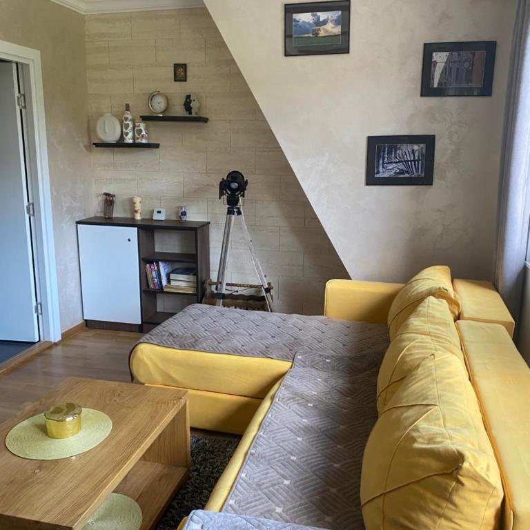 Divčigora - Apartman sa 1 Spavaćom Sobom - 7