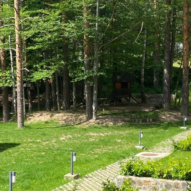 Divčigora - Apartman sa 1 Spavaćom Sobom - 38