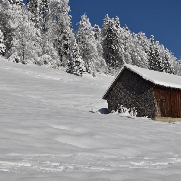 Ferienwohnung Alpenglück - Apartment mit Balkon - 35
