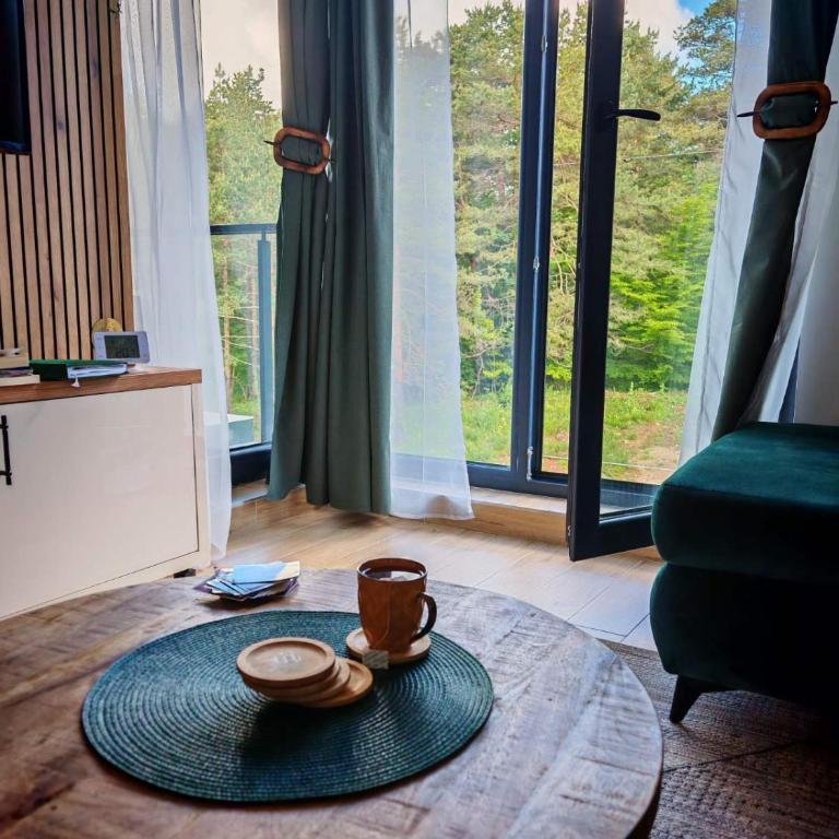Apartmani Planina Divčibare - Apartman sa 1 Spavaćom Sobom - 2