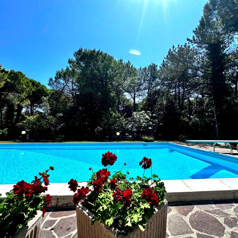 La Grande Villa with Pool - Villa con Piscina Privata - 4
