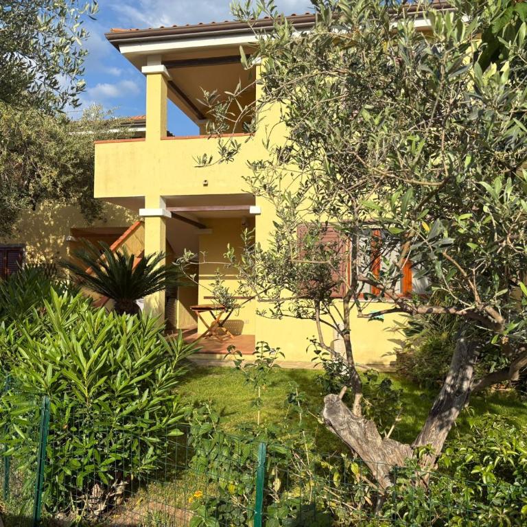Alga House - Appartamento con 2 Camere da Letto - 1