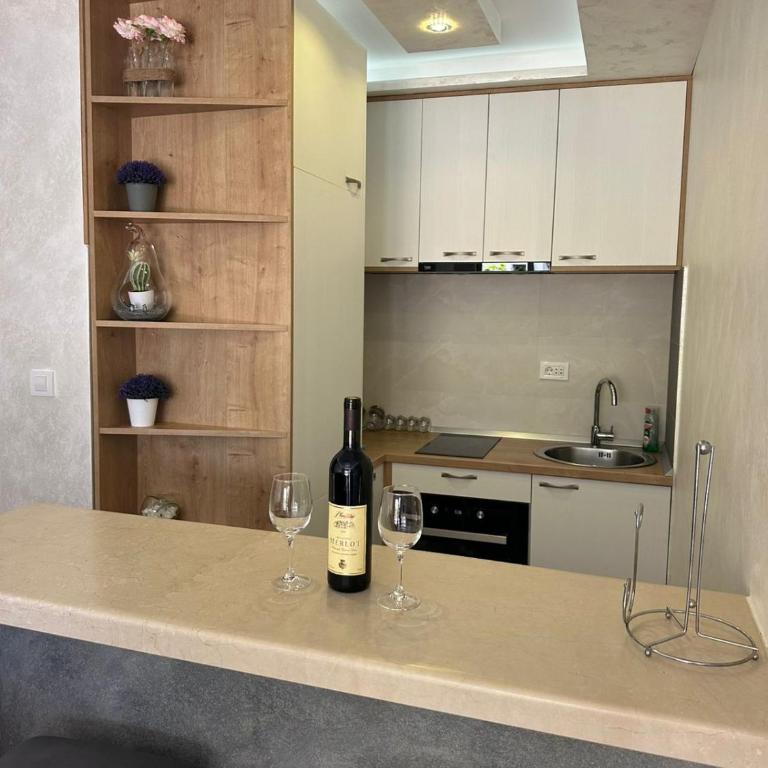 Apartman Vuk - Apartman sa 1 Spavaćom Sobom - 8