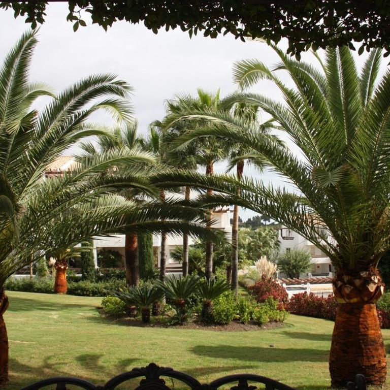 Penthouse in good location on Selwo Hills - Three-Bedroom Apartment - 7