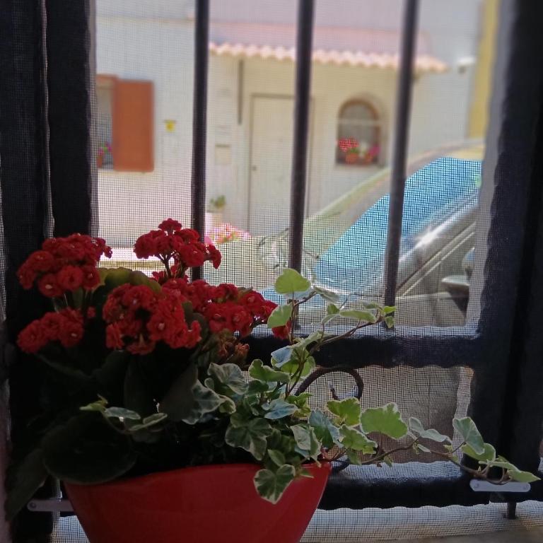 Olbia City House - Appartamento con 1 Camera da Letto - 41