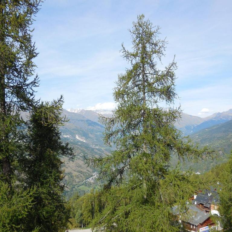 Studio divisible pour 4 pers. à La Plagne, animaux acceptés - Studio - 7
