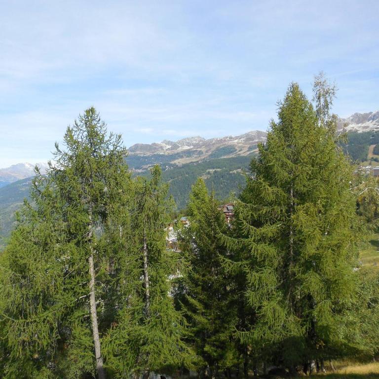 Studio divisible pour 4 pers. à La Plagne, animaux acceptés - Studio - 9