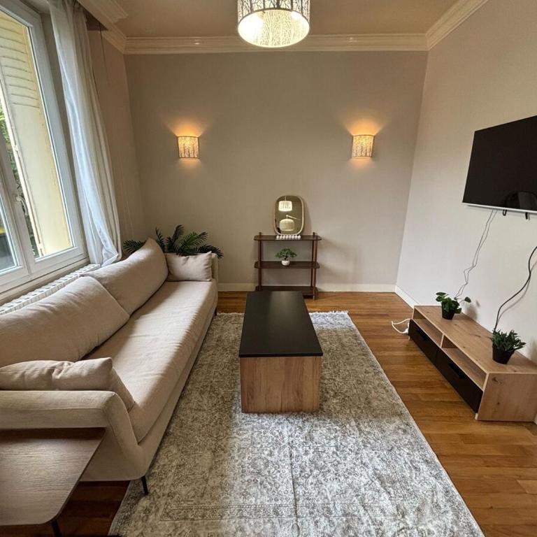 Grand T3 90m2 Haussmanien avec suite en centre ville et parking TOUT inclus - Apartamento de 2 dormitorios con vistas al jardín - 5